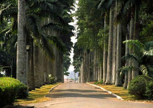 ABURI GARDENS & TETTEH QUARSHIE FARM